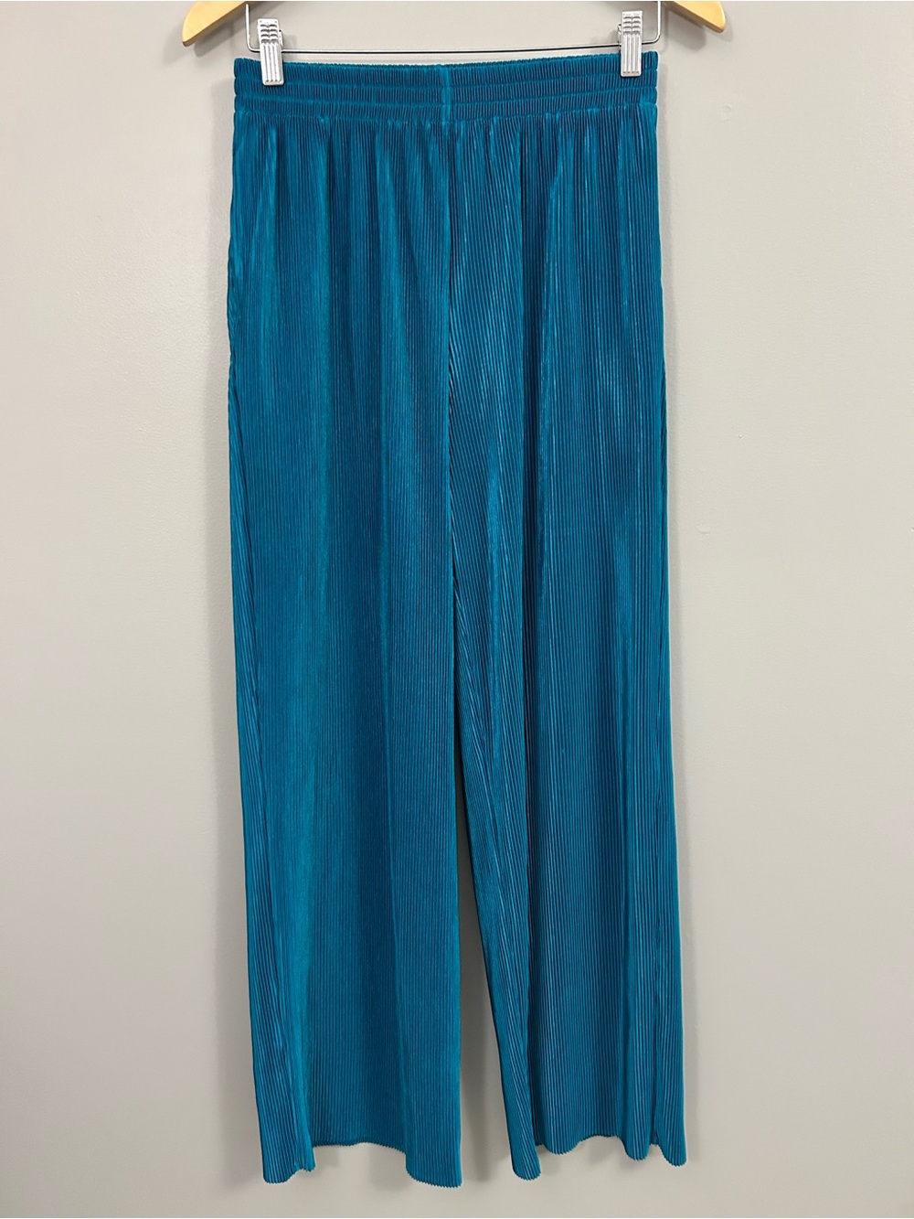 HG Teal Pleated Pants Medium